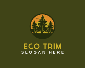 Pine Tree Eco Forest logo design