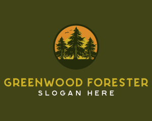 Pine Tree Eco Forest logo design