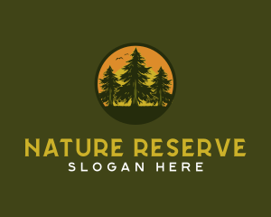 Reserve - Pine Tree Eco Forest logo design