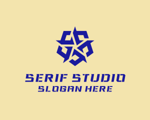 Star Entertainment Studio logo design