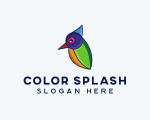 Colorful Wild Bird logo design