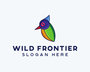 Colorful Wild Bird logo design