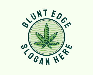 Blunt - Medical Organic Leaf logo design