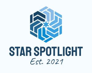 Blue Star Snowflake  logo design