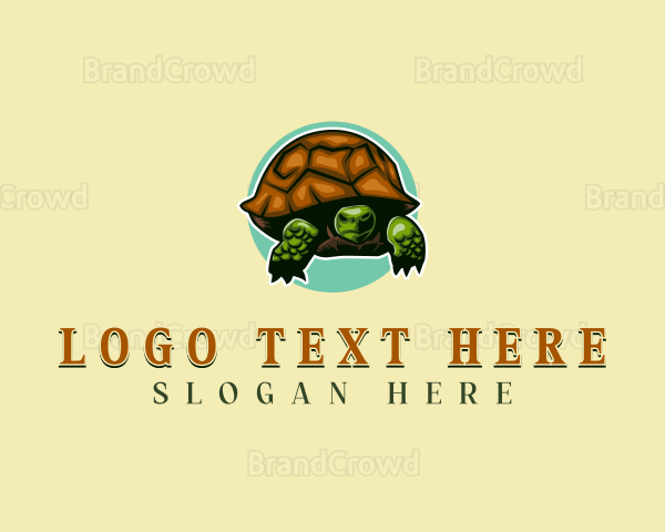 Georgia Reptile Tortoise Logo