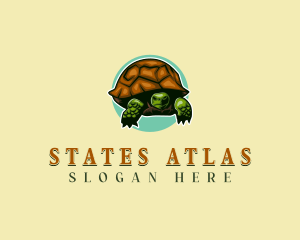 Georgia Reptile Tortoise  logo design