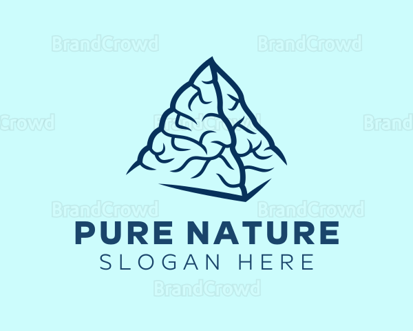 Blue Pyramid Brain Logo