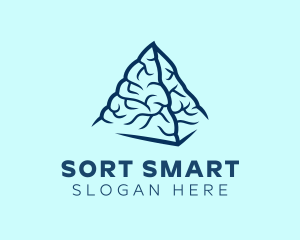 Blue Pyramid Brain logo design