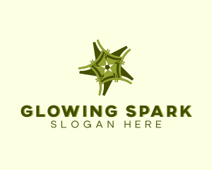 Shining Star Decor logo design