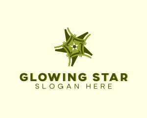 Shining - Shining Star Decor logo design