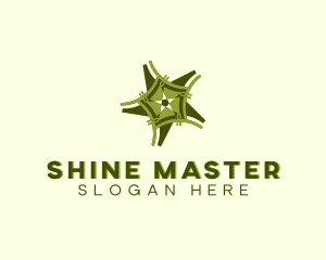 Shining Star Decor logo design