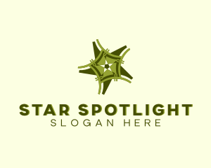 Shining Star Decor logo design