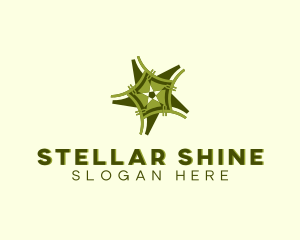 Shining Star Decor logo design