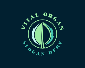 Natural Organic Leaf logo design