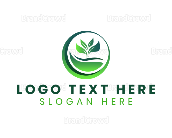 Nature Plant Leaf Logo