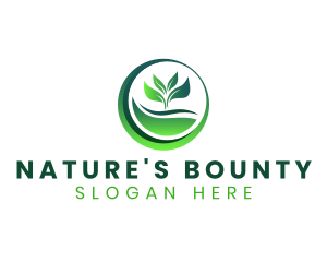 Nature Plant Leaf logo design