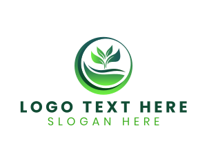 Nature - Nature Plant Leaf logo design