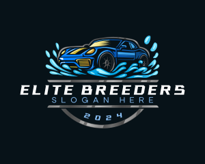 Automotive Car Detailing logo design