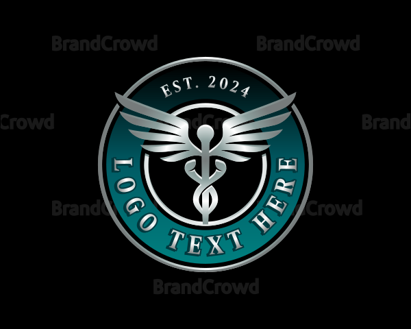 Healthcare Wings Caduceus Logo