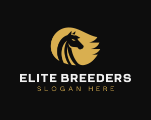 Elegant Horse Equestrian logo design