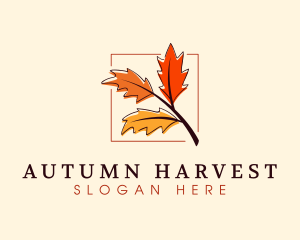Autumn Season Leaves logo design