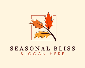 Season - Autumn Season Leaves logo design