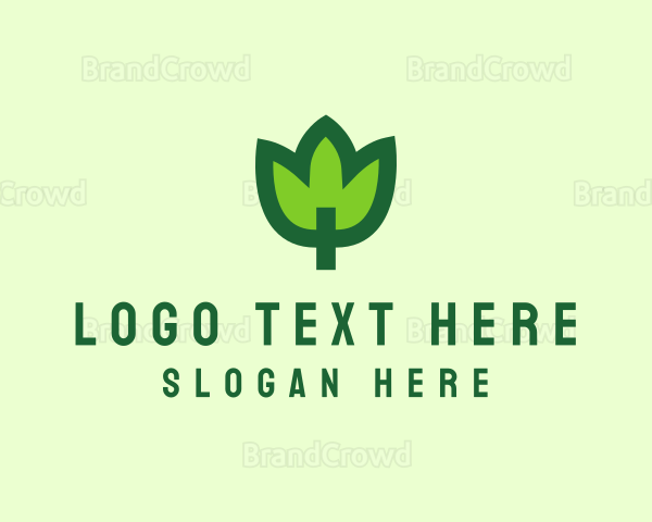 Green Eco Leaf Logo