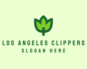 Green Eco Leaf Logo