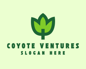 Green Eco Leaf logo design