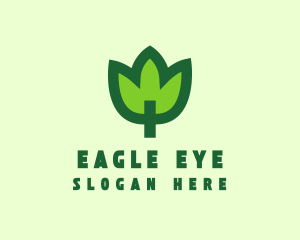 Green Eco Leaf logo design