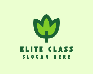 Green Eco Leaf logo design