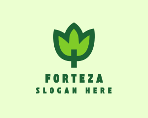 Green Eco Leaf logo design