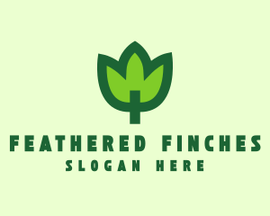 Green Eco Leaf logo design