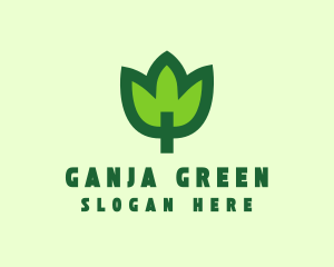 Green Eco Leaf logo design