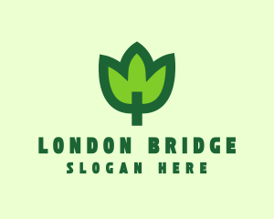 Green Eco Leaf logo design