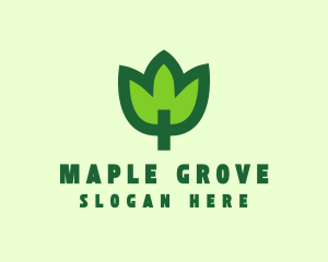 Green Eco Leaf logo design