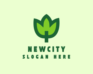 Green Eco Leaf logo design