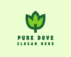 Green Eco Leaf logo design