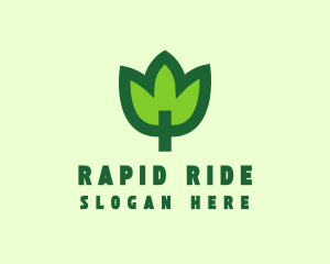 Green Eco Leaf logo design