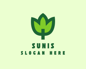 Green Eco Leaf logo design