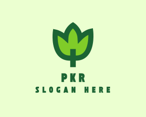 Green Eco Leaf logo design