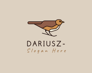 Sparrow - Nature Sparrow Bird logo design