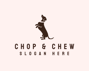 Dog Dachshund Vet Logo