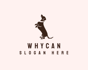 Dog Dachshund Vet Logo