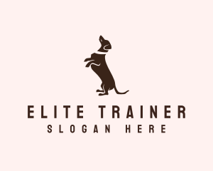 Dog Dachshund Vet logo design