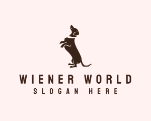 Dog Dachshund Vet logo design