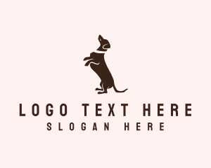 Canine - Dog Dachshund Vet logo design