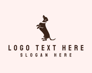 Dog Dachshund Vet Logo