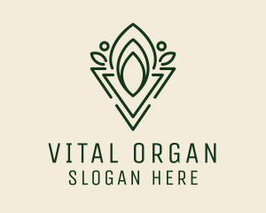 Organic Oil Drop  logo design