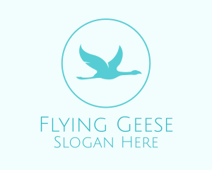 Blue Bird Flying logo design